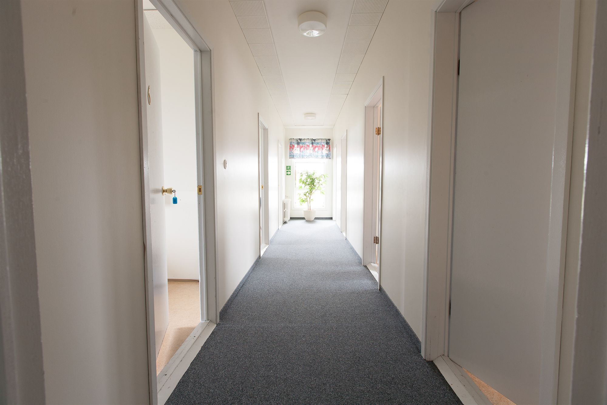 Ljosafossskoli Hostel Selfoss Extérieur photo